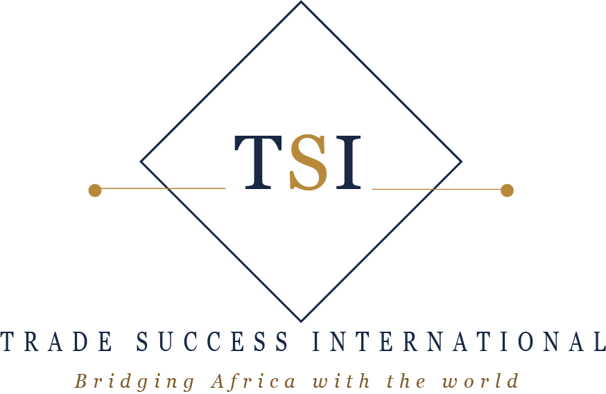 Logo TSI